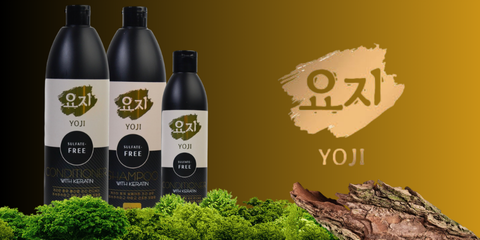 Banner from design